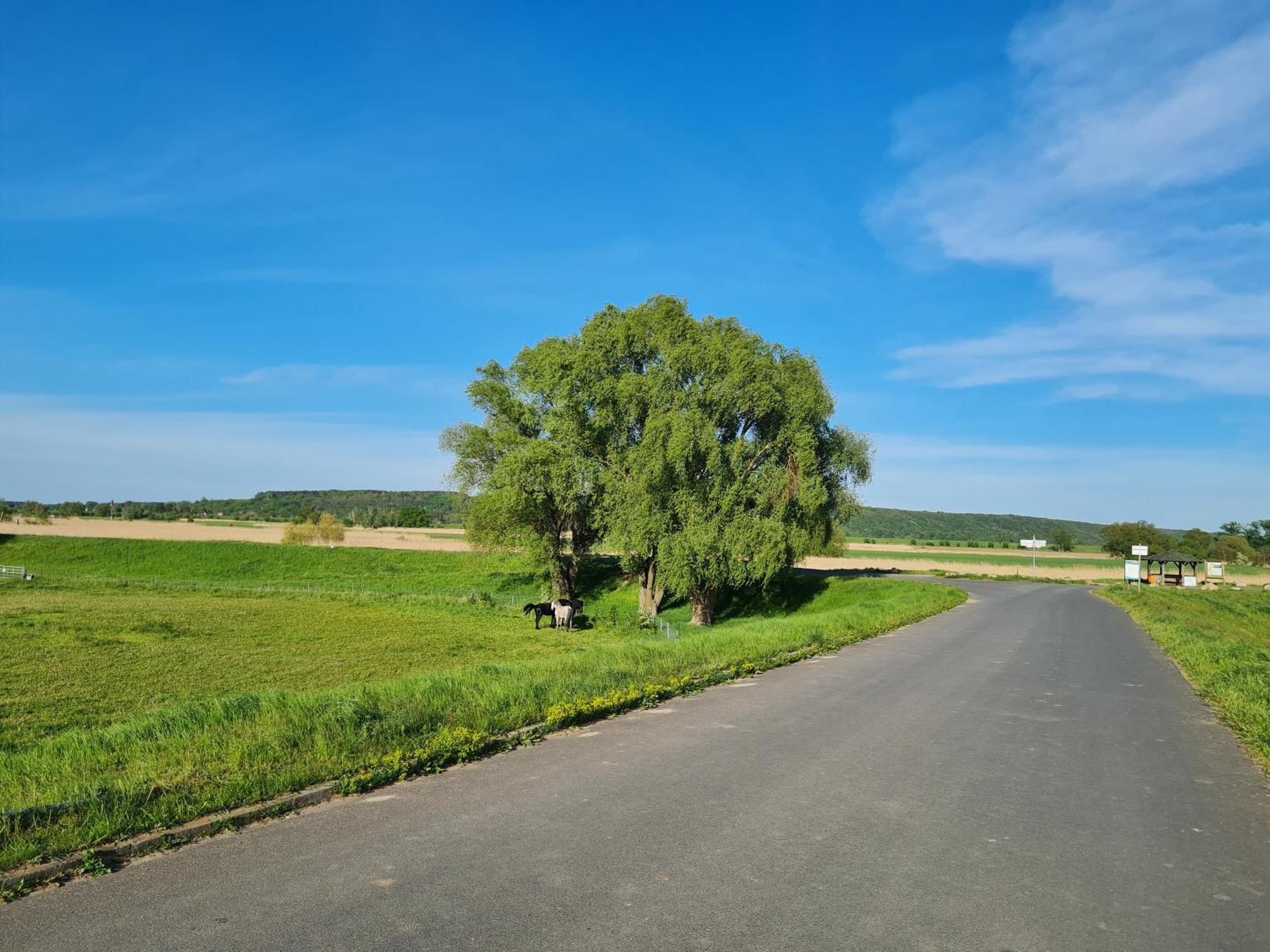 Ferienwohnungen Stolzenhagener 7 Lunow-Stolzenhagen エクステリア 写真