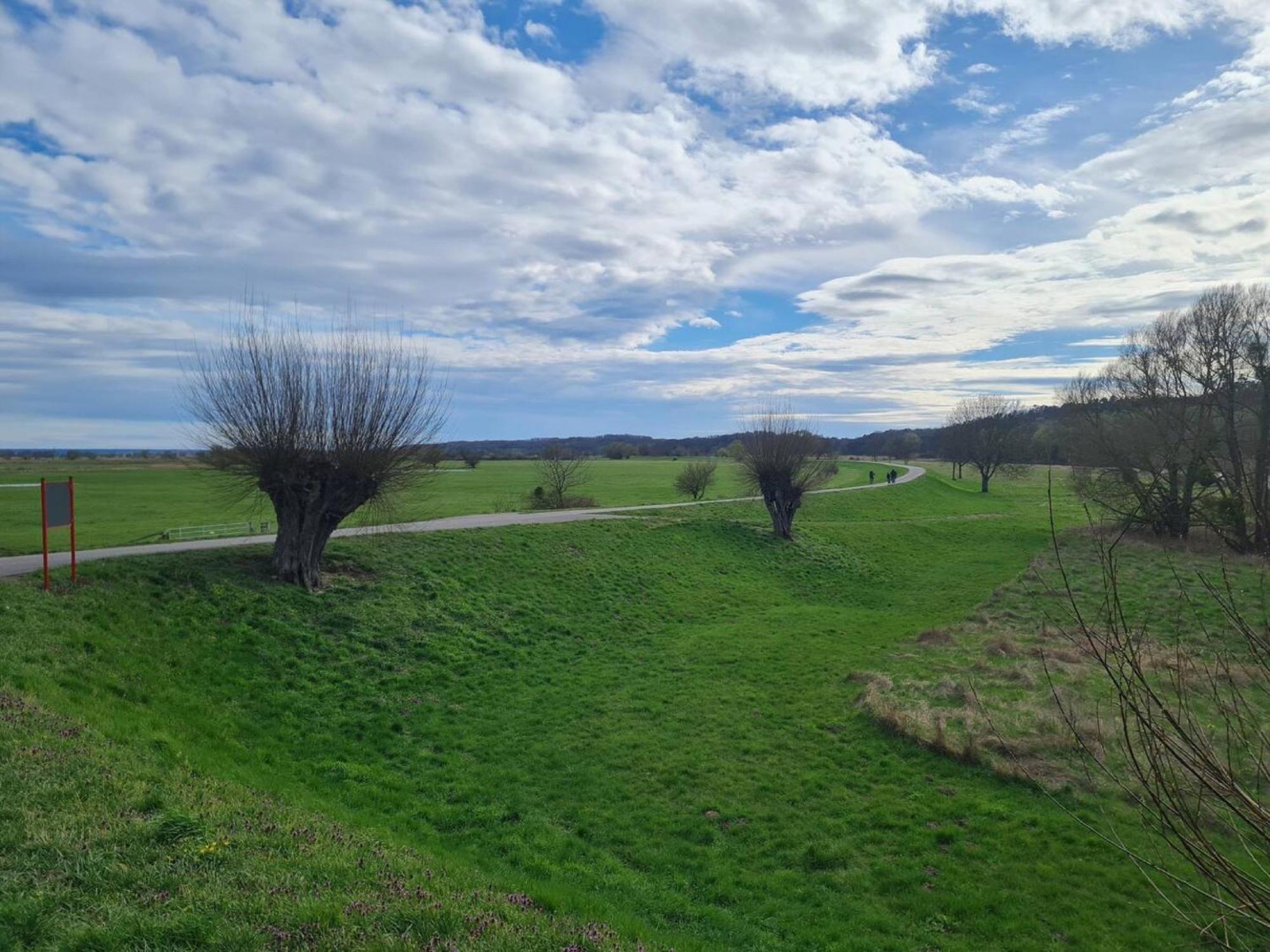 Ferienwohnungen Stolzenhagener 7 Lunow-Stolzenhagen エクステリア 写真